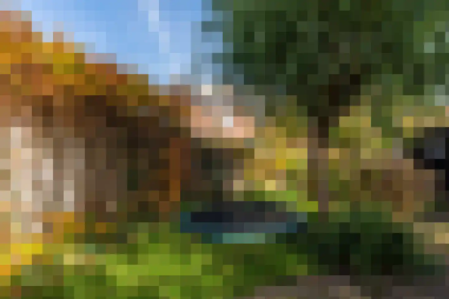 Pinksterbloem 57 Culemborg thumbnail 28
