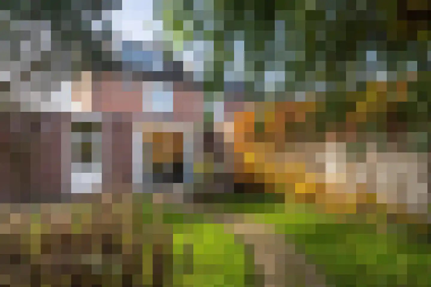 Pinksterbloem 57 Culemborg thumbnail 30