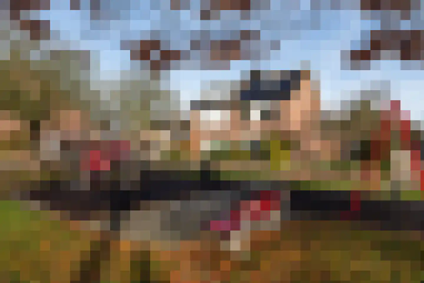 Pinksterbloem 57 Culemborg thumbnail 31