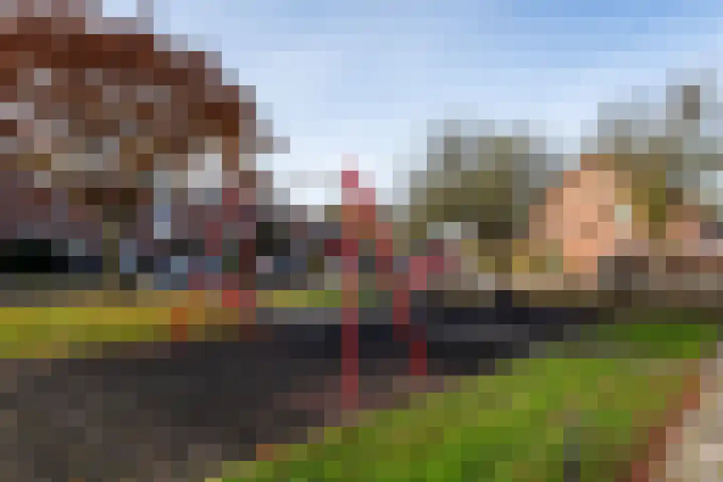 Pinksterbloem 57 Culemborg thumbnail 32