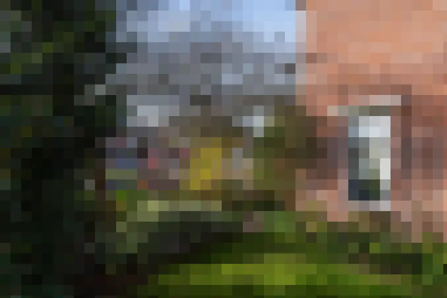 Pinksterbloem 57 Culemborg thumbnail 33
