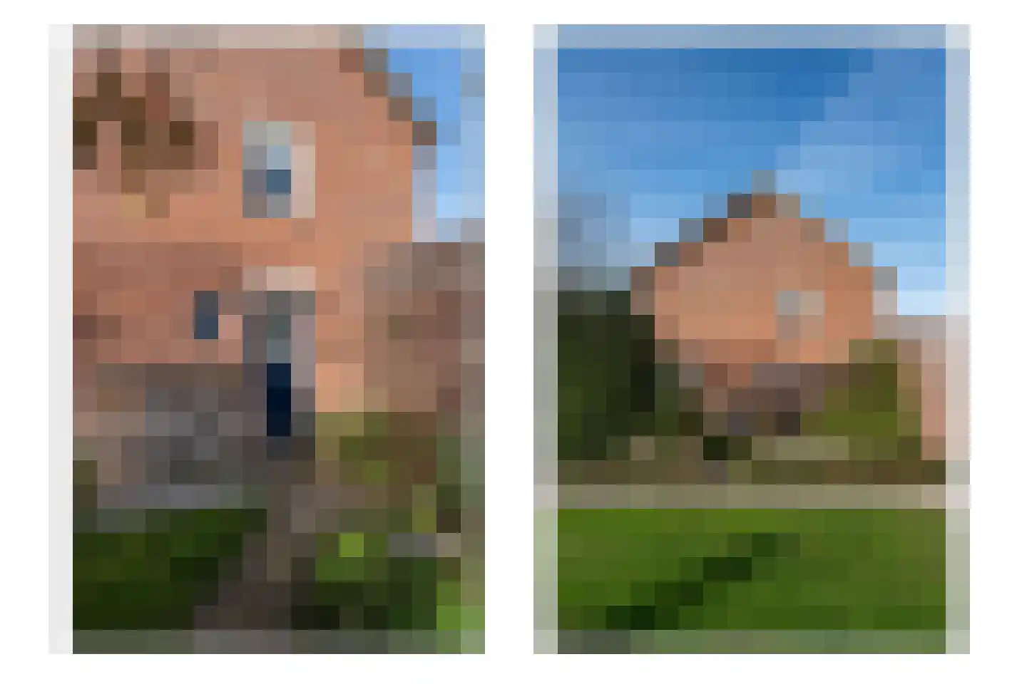 Pinksterbloem 57 Culemborg thumbnail 34