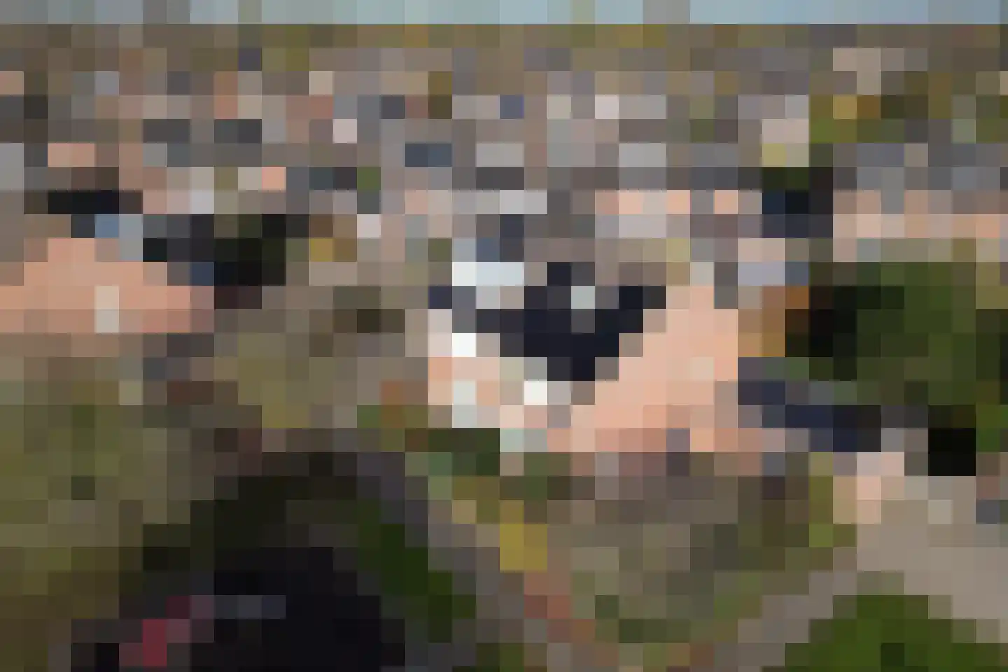 Pinksterbloem 57 Culemborg thumbnail 35