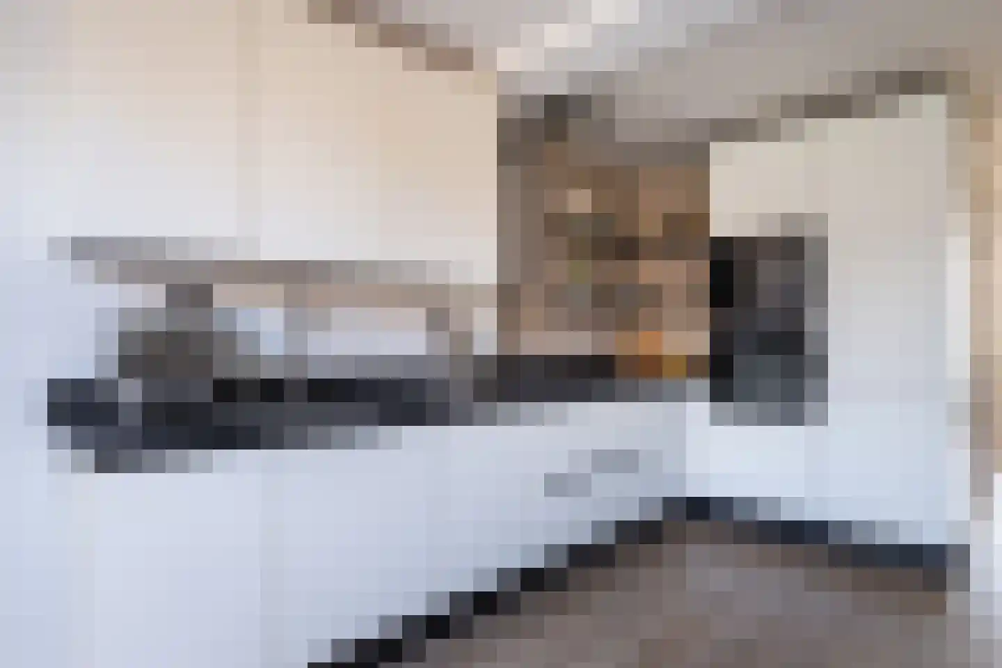 Pinksterbloem 57 Culemborg thumbnail 8