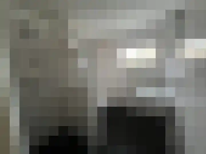 Pinksterbloem 61 Borne thumbnail 12