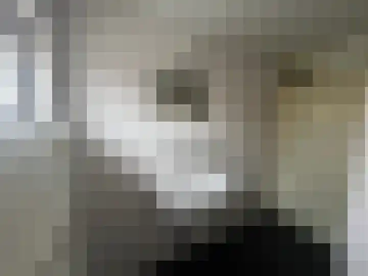 Pinksterbloem 61 Borne thumbnail 13