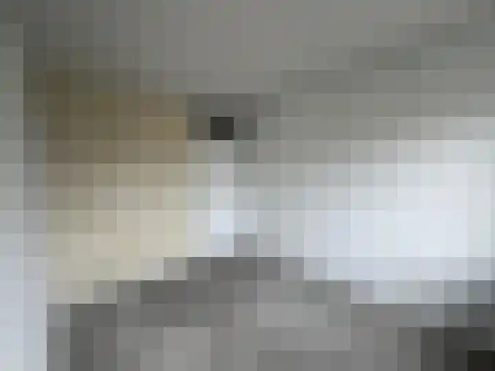 Pinksterbloem 61 Borne thumbnail 15