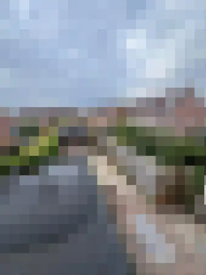 Pinksterbloem 61 Borne thumbnail 16