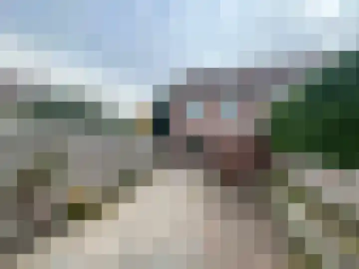 Pinksterbloem 61 Borne thumbnail 23