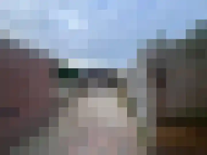 Pinksterbloem 61 Borne thumbnail 24