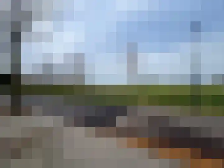 Pinksterbloem 61 Borne thumbnail 27