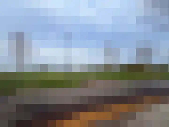 Pinksterbloem 61 Borne thumbnail 28