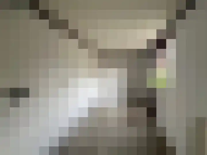 Pinksterbloem 61 Borne thumbnail 9