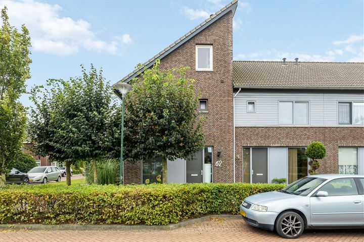 Pinksterbloem 62 in Boekel Foto