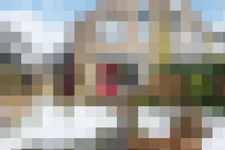 Pinksterbloem 65 Apeldoorn thumbnail 25