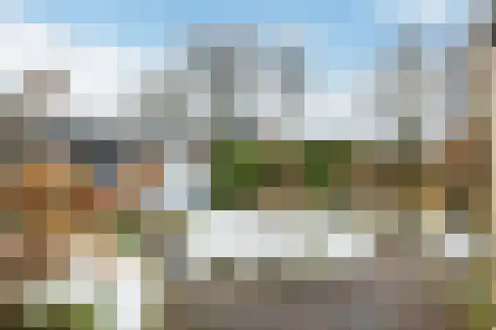 Pinksterbloem 65 Apeldoorn thumbnail 27