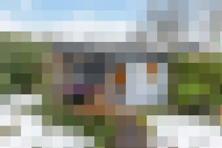 Pinksterbloem 65 Apeldoorn thumbnail 28