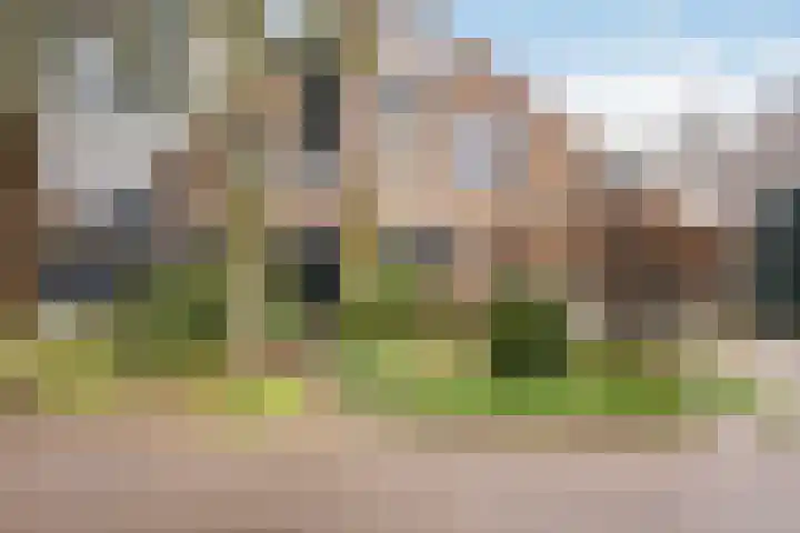 Pinksterbloem 65 Apeldoorn thumbnail 32