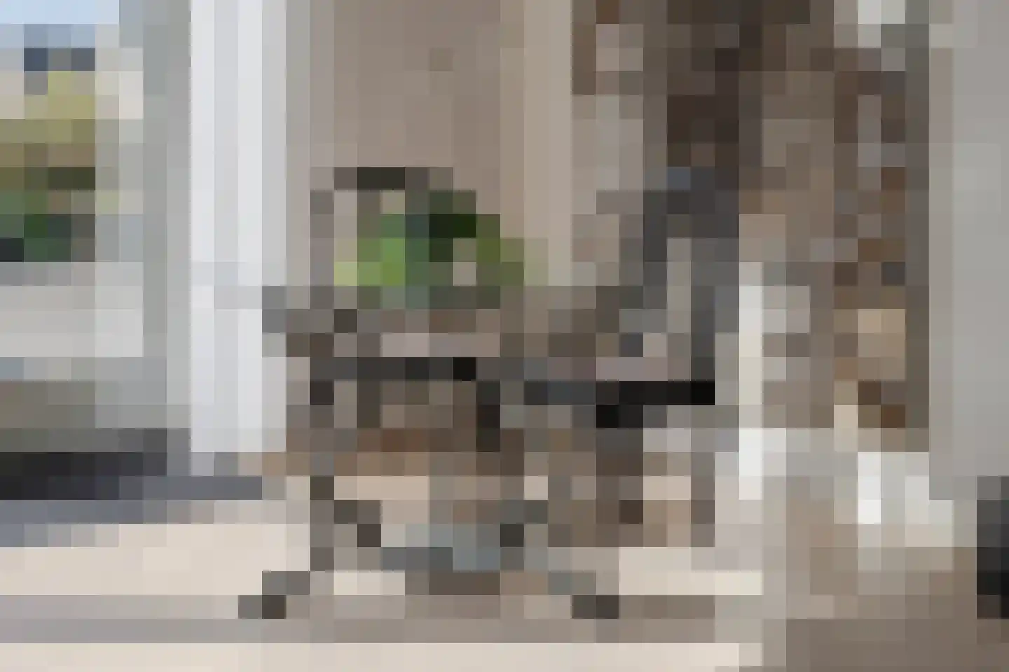 Pinksterbloem 66 Stroe thumbnail 16