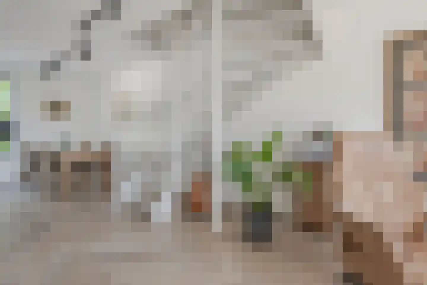 Pinksterbloem 66 Stroe thumbnail 25