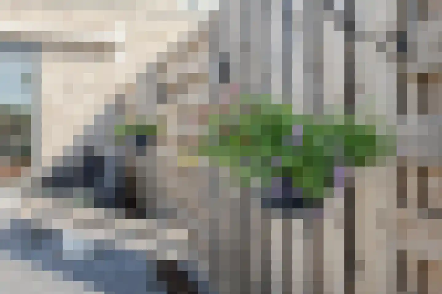 Pinksterbloem 66 Stroe thumbnail 40