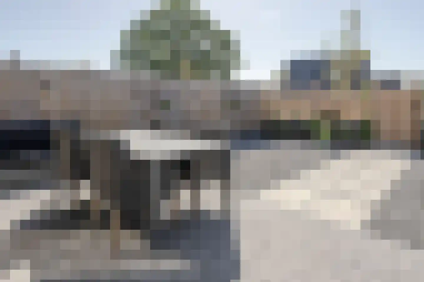 Pinksterbloem 66 Stroe thumbnail 41