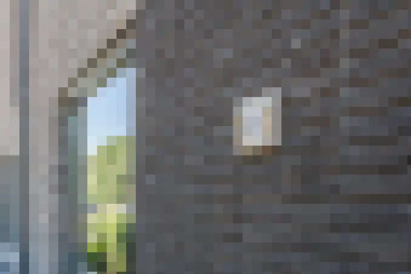 Pinksterbloem 66 Stroe thumbnail 48