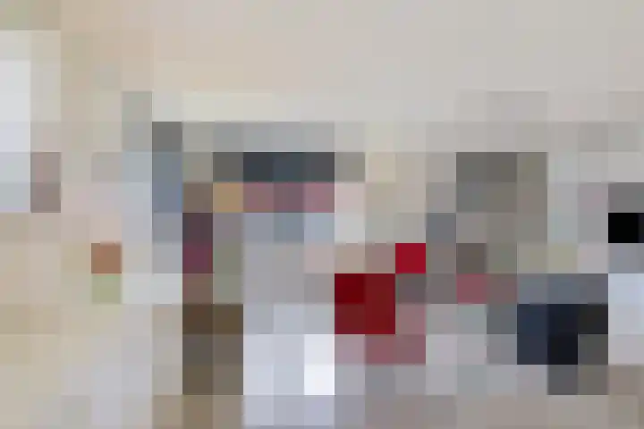 Pinksterbloem 7 Eelde thumbnail 11