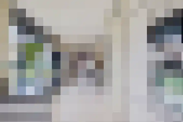 Pinksterbloem 7 Eelde thumbnail 17