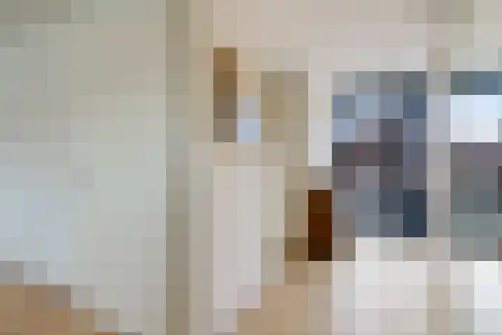 Pinksterbloem 7 Eelde thumbnail 23