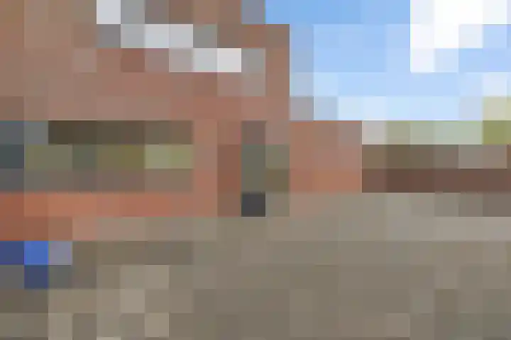 Pinksterbloem 7 Eelde thumbnail 24