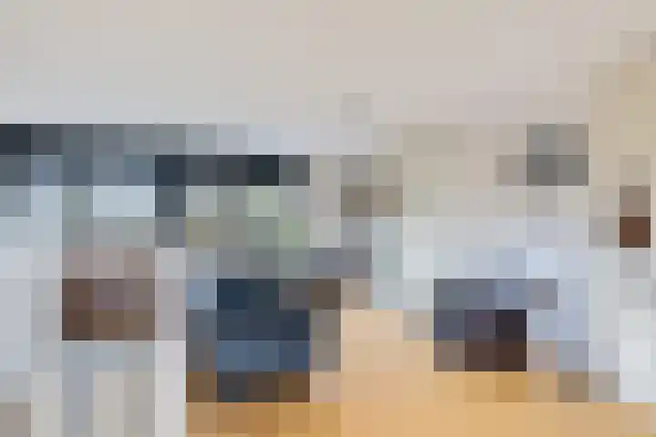 Pinksterbloem 7 Eelde thumbnail 30
