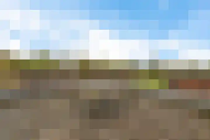 Pinksterbloem 7 Eelde thumbnail 34