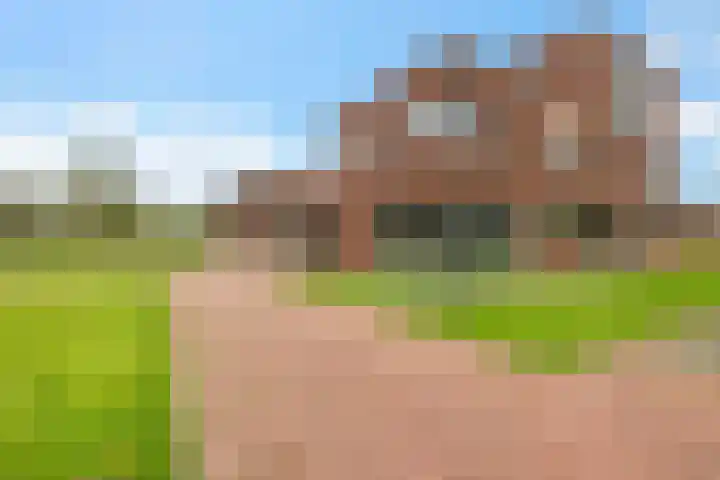 Pinksterbloem 7 Eelde thumbnail 4