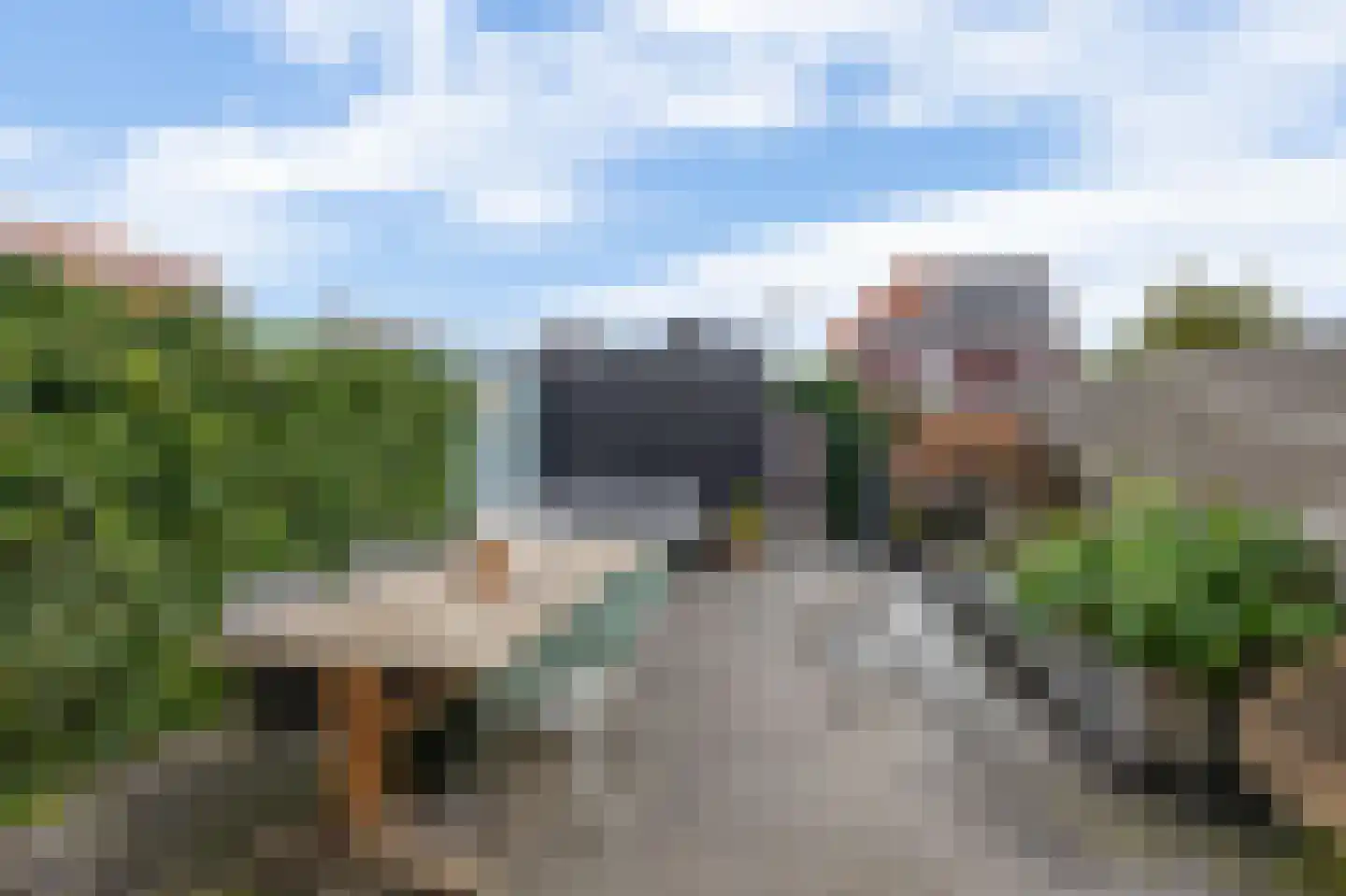 Pinksterbloem 7 Hazerswoude-Dorp thumbnail 26