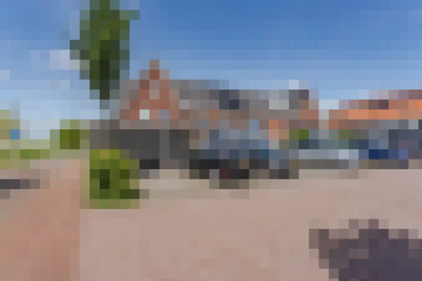 Pinksterbloem 7 Hazerswoude-Dorp thumbnail 28