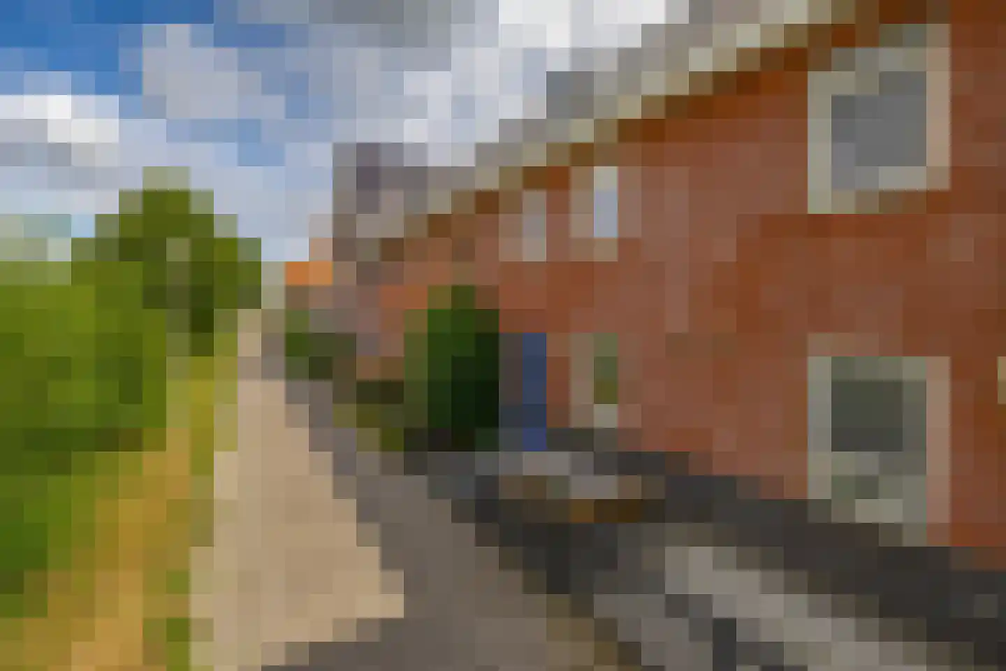 Pinksterbloem 7 Hazerswoude-Dorp thumbnail 4