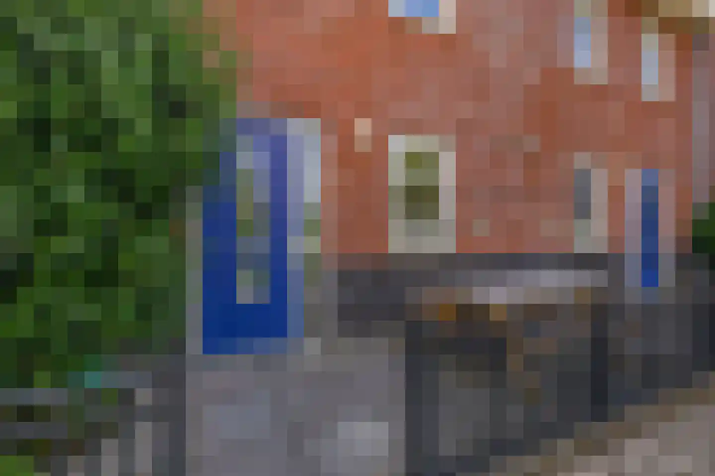 Pinksterbloem 7 Hazerswoude-Dorp thumbnail 5