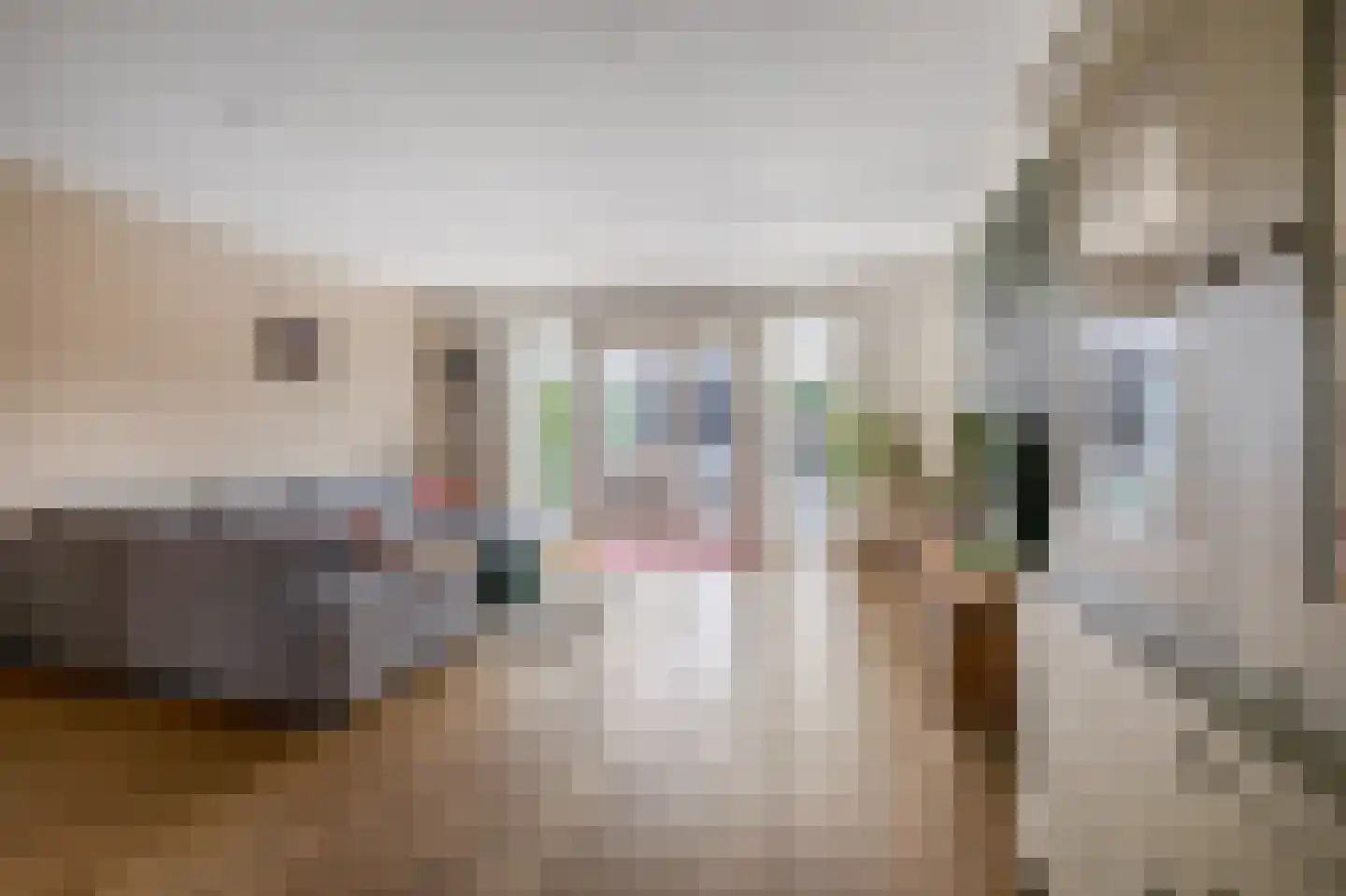 Pinksterbloem 7 Hazerswoude-Dorp thumbnail 7