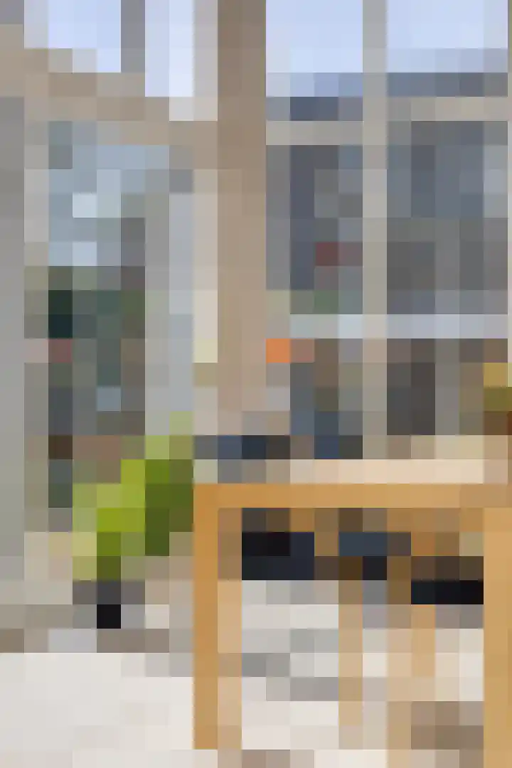 Pinksterbloem 71 Apeldoorn thumbnail 12