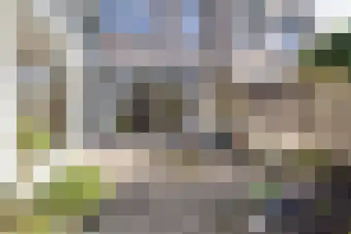 Pinksterbloem 71 Apeldoorn thumbnail 41