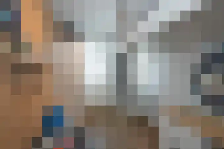 Pinksterbloem 8 Rijssen thumbnail 15
