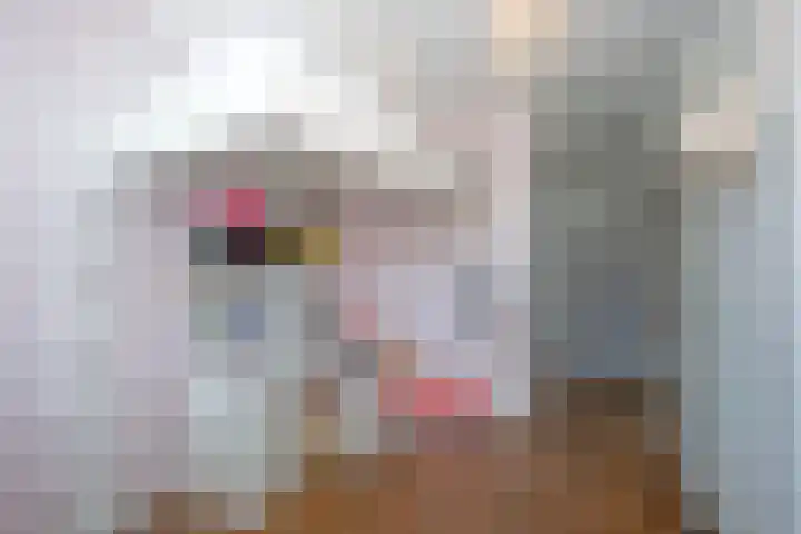 Pinksterbloem 8 Rijssen thumbnail 18