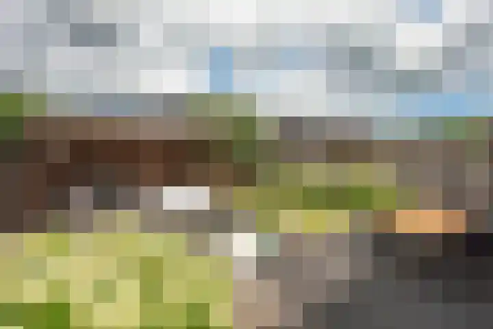 Pinksterbloem 8 Rijssen thumbnail 28