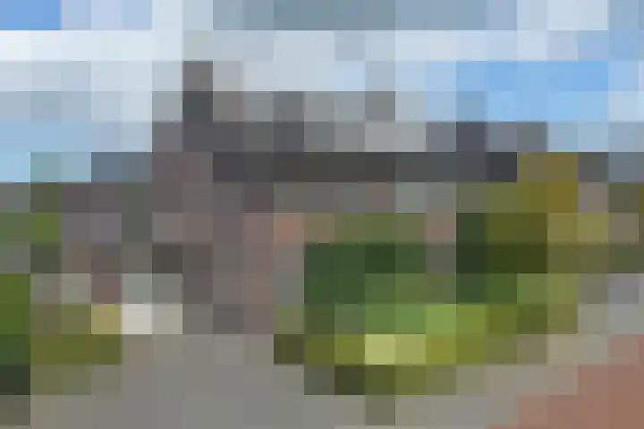 Pinksterbloem 8 Rijssen thumbnail 30