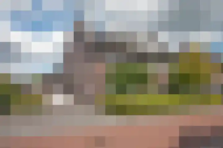 Pinksterbloem 8 Rijssen thumbnail 35
