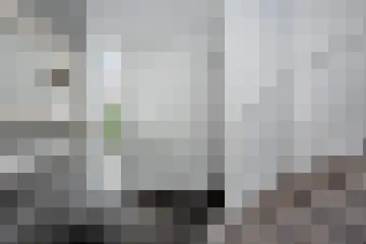Pinksterbloem 8 Rijssen thumbnail 4