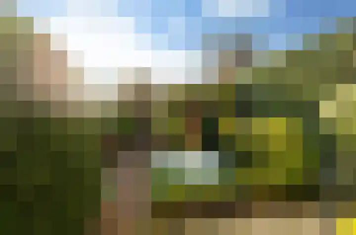 Pinksterbloem 8 Rotterdam thumbnail 20
