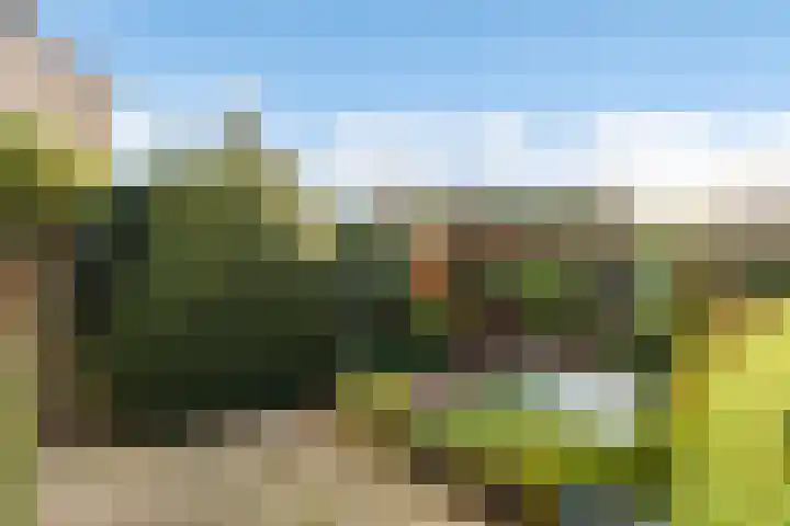 Pinksterbloem 8 Rotterdam thumbnail 21