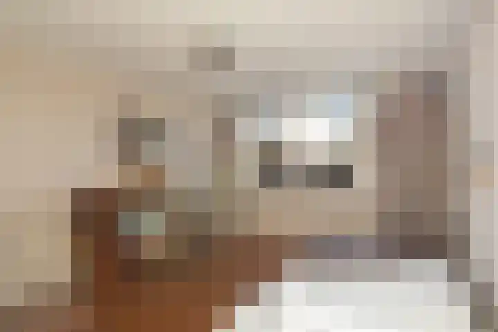 Pinksterbloem 8 Rotterdam thumbnail 33